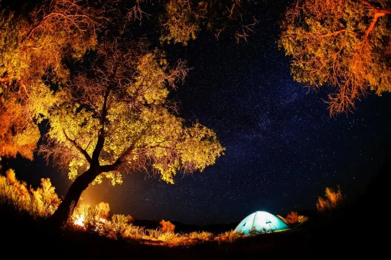 Reuters Images/Shamil Zhumatov