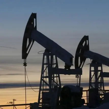 OPEC trims oil demand for next four years