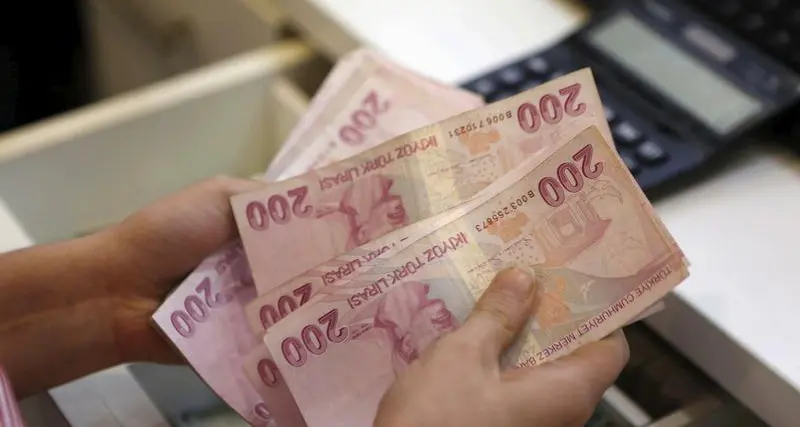 الليرة التركية تهبط لأدنى مستوى منذ سبتمبر 2015 أمام الدولار