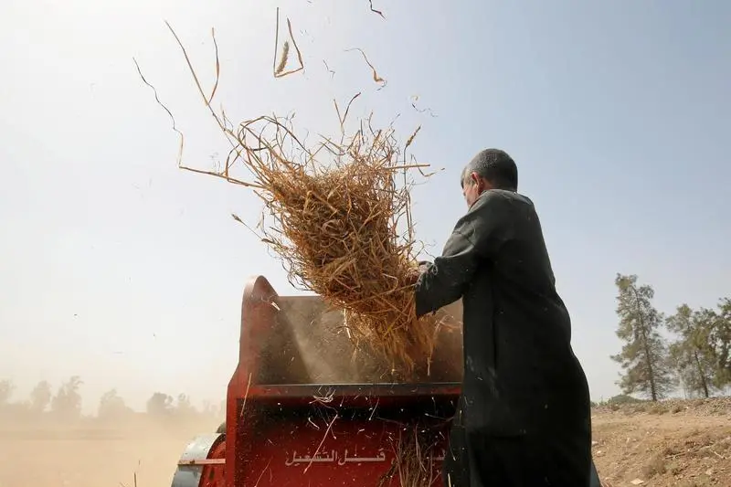 Reuters Images/Amr Abdallah Dalsh