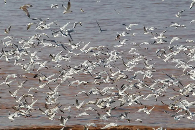 Reuters Images/Aziz Taher 