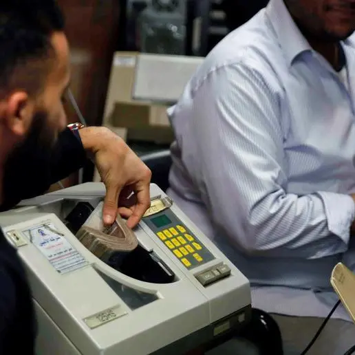 تحليل مطول - تأجيل تحريك سعر الصرف في مصر: هل يعطل صفقات بيع الشركات؟