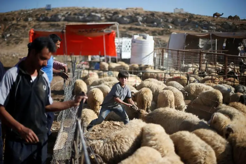 Reuters Images/Muhammad Hamed 