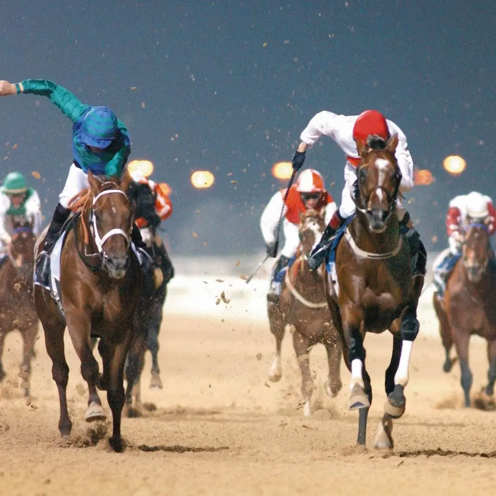 Dubai uses extreme cold cryotherapy to treat racehorses in world first