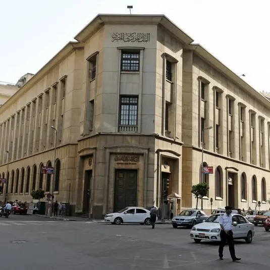 Egypt's net foreign reserves rise to $35.22bln in December - central bank