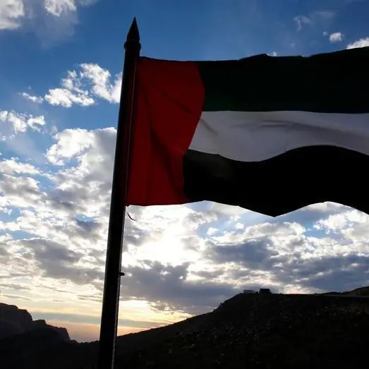 UAE announces martyrdom of three members of armed forces in Somalia