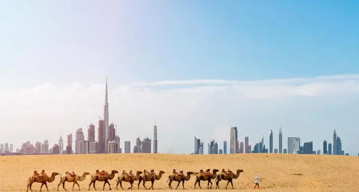 Dubai tourist camps allowed to offer overnight stays