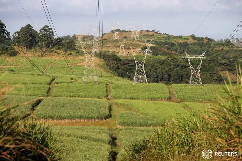 Power lines supplying electricity by stated owned Eskom run through sugar cane fields on a Tongaat Hulett farm in Shongweni, South Africa April 29, 2018.  , Reuters Images/Rogan Ward 