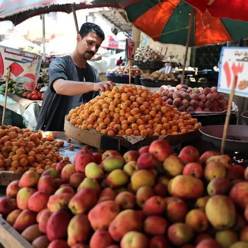 أسعار الغذاء تقفز بالتضخم في مصر خلال سبتمبر