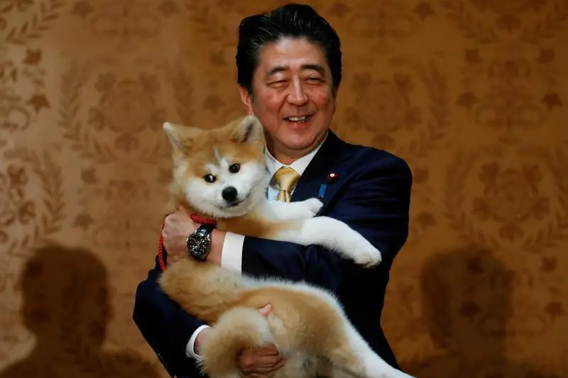 Japanese Prime Minister Shinzo Abe poses with an Akita Inu puppy presented to Russian figure skating gold medallist Alina Zagitova, in Moscow, Russia May 26, 2018. , Reuters Images/Maxim Shemetov  