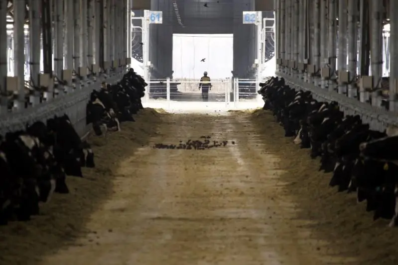 Reuters Images/David Gray