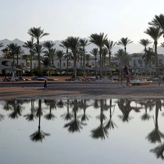 السلطات المصرية تتحفظ على ناقلة غاز ترفع علم ليبيريا بعد جنوحها في خليج العقبة