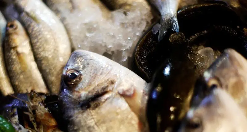 7.4 مليون درهم مبيعات الأسماك في أبوظبي العام الماضي