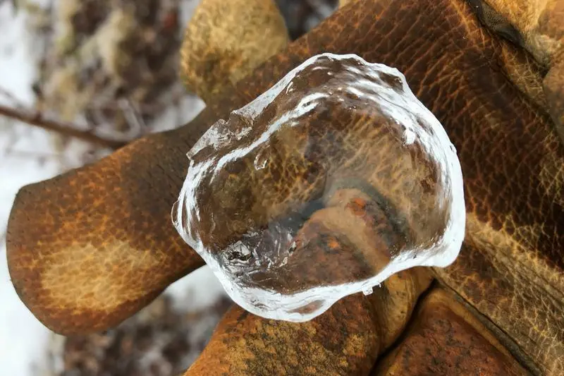 ghost apple ice