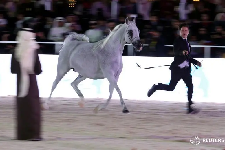 Reuters Images/Hamad I Mohammed