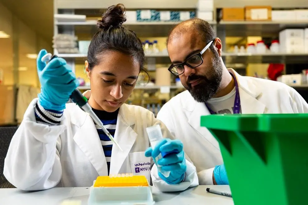 NYU / Handout via Zawya