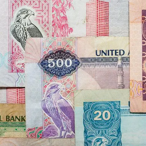 البنوك الإماراتية تستخدم 88.8% من تسهيلات المصرف المركزي بنهاية يونيو
