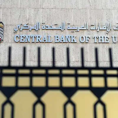 $19.4bln increase in cash deposits over 12 months: CBUAE