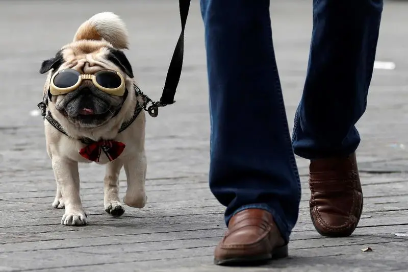 Reuters Images/Eric Gaillard 