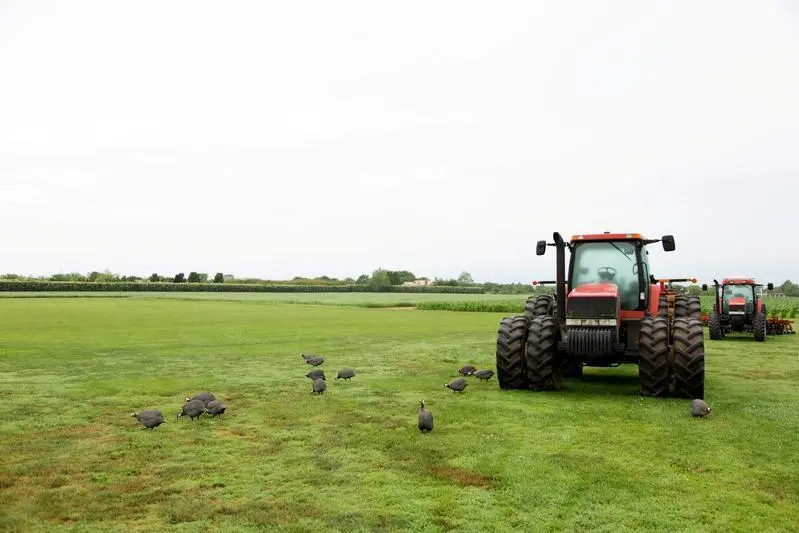Farming equipment is seen on Foster Farm in Sagaponack, on New York\\'s Long Island, U.S., July 8, 2019. Lindsay Morris, Reuters , Reuters