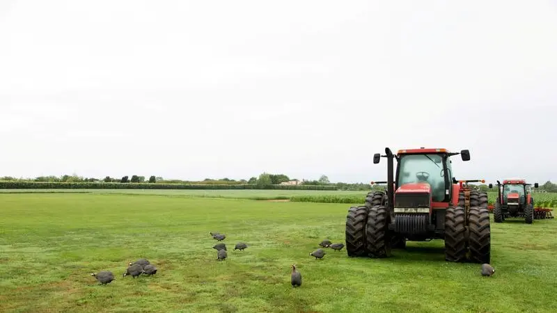 تفاصيل: \"سالك\" السعودية ترفع حصتها لـ 80.01% في شركة أولام الزراعية القابضة السنغافورية