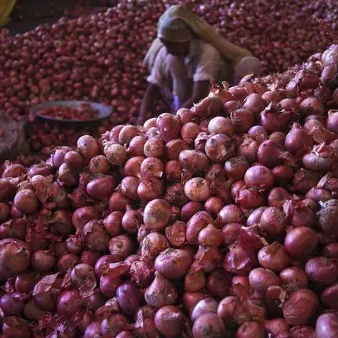 India imposes export duty of 40% on onions, exempts duty on bengal gram imports