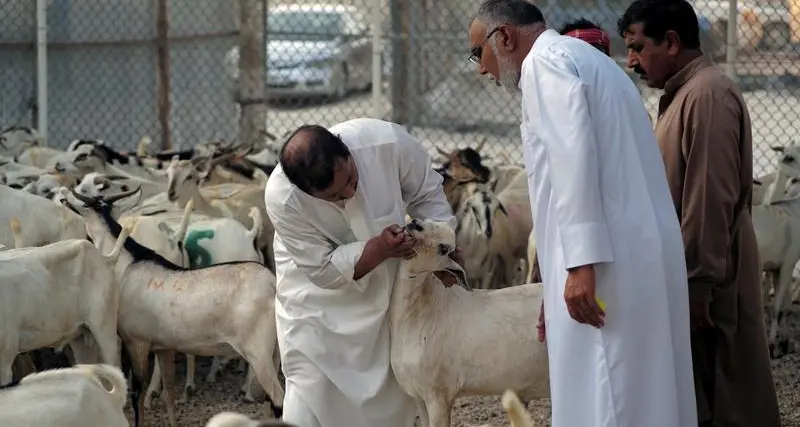 وزير الصناعة المصري يقرر استمرار فرض رسوم على صادرات بعض الأعلاف الحيوانية