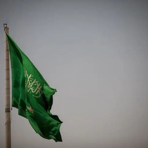 Saudi Arabia bans commercial use of symbols and logos of other countries