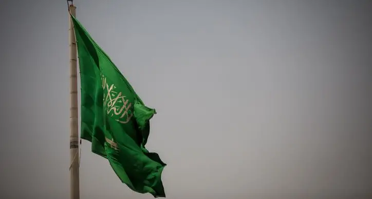 Saudi Arabia increases investments and development aid in Africa to nearly $45bln