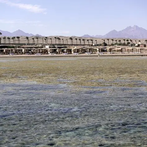 Egypt’s top Red Sea resort city developer in stake sale talks