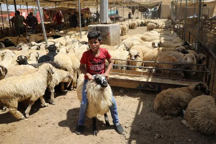 Reuters Images/Muhammad Hamed