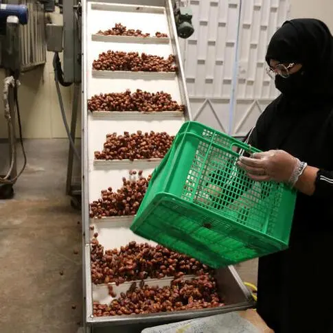 GASTAT: Saudi women's participation in the labor force reaches 36.2% in 3Q 2024