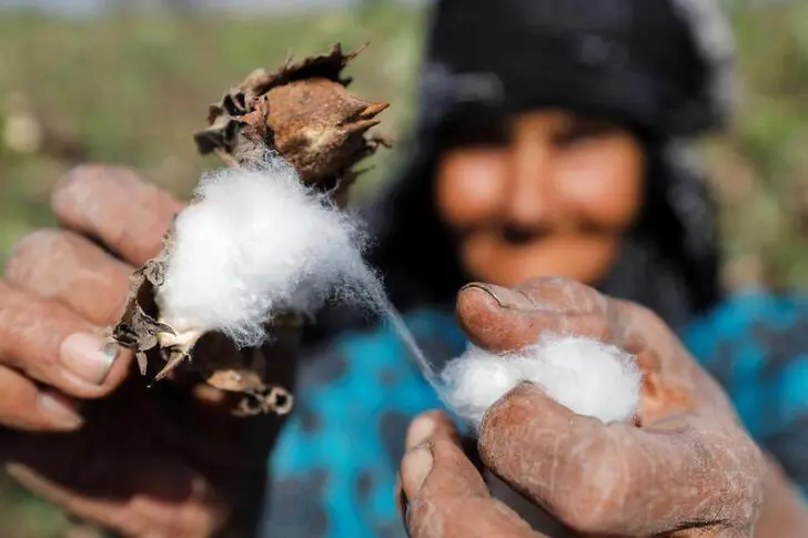 Reuters Images/Mohamed Abd El Ghany