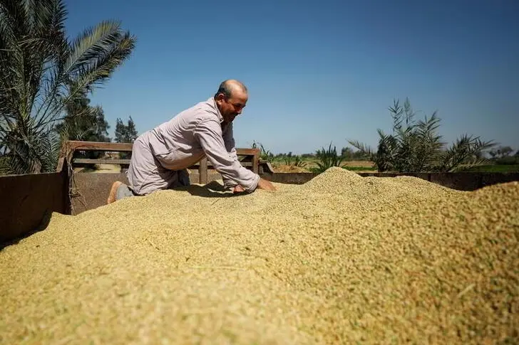 Reuters Images/Mohamed Abd El Ghany