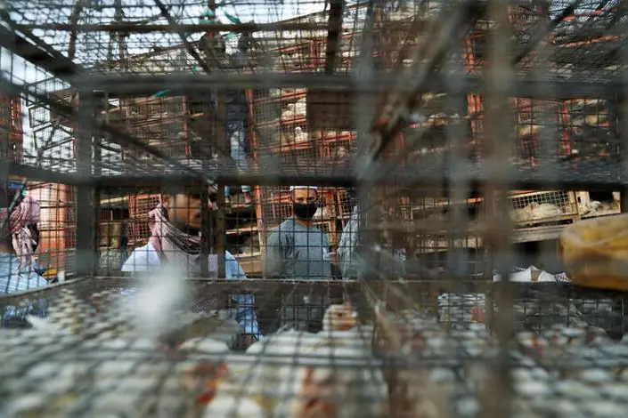 Reuters Images/Anushree Fadnavis