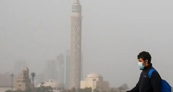 Egypt prepares to tackle seasonal air pollution in Nile Delta