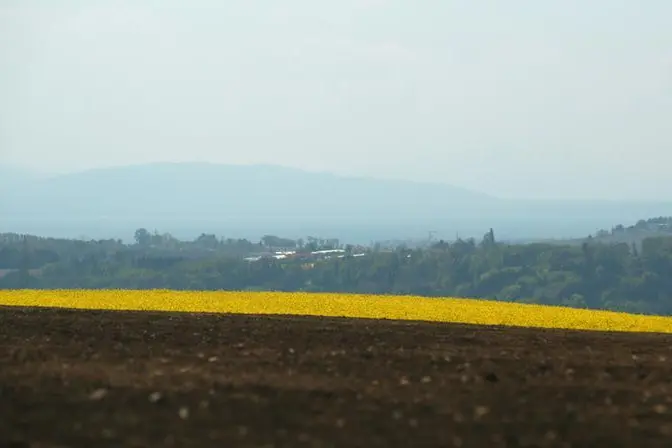 Reuters Images/Denis Balibouse