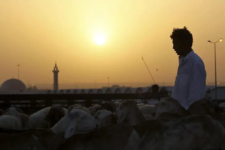 Reuters Images/Faisal Al Nasser 