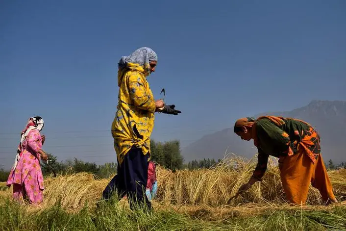 Reuters Images/Sanna Irshad Mattoo