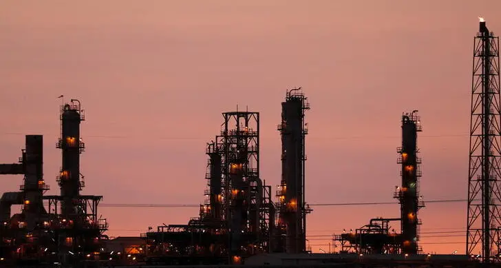 Egypt's President reviews oil, gas exploration progress