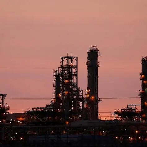 Egypt, UAE explore enhancing cooperation in oil sector