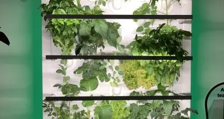استعراض نظام ذكي للزراعة المنزلية تم تطويره في مدينة مصدر أمام زوار اكسبو 2020 دبي